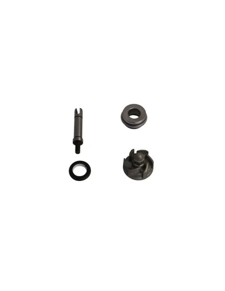 PARTS EUROPE Kühlsysteme für APRILIA LEONARDO 250 1999-2001