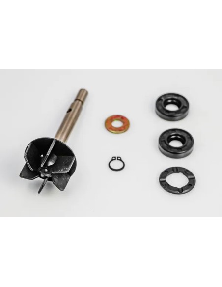 PARTS EUROPE Kühlsysteme für APRILIA SCARABEO 125 1999-2003