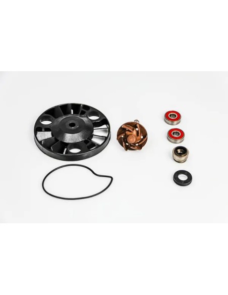 PARTS EUROPE Kühlsysteme für GILERA RUNNER 125 VX 1999-2001