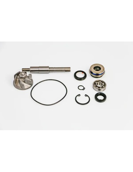 PARTS EUROPE Kühlsysteme für HONDA SH 125 I 2005-2008