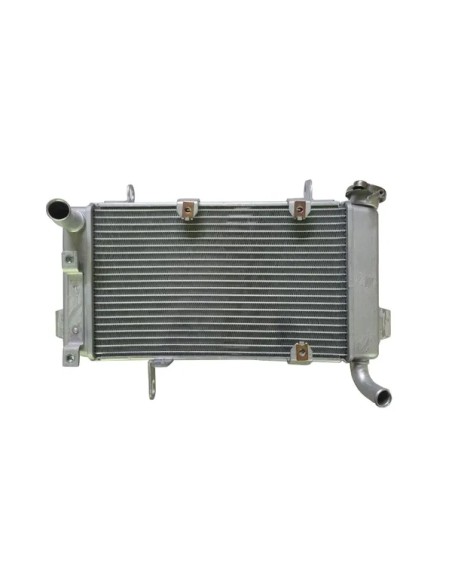 KSX Kühlsysteme für SUZUKI LT-Z 400 2X4 2009-2013