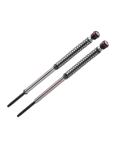 BITUBO S.R.L. Federung vorne für Harley Davidson XL 883 R 2004-2013