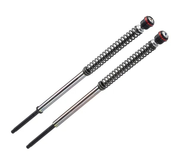 BITUBO S.R.L. Federung vorne für Harley Davidson XL 883 R 2004-2013