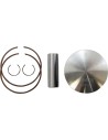 PISTON KIT STD RM250 03-10 66,35 B