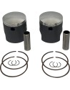 PISTON KIT STD ARCTIC CAT 67.89 A
