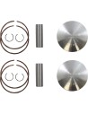 PISTON KIT STD ARCTIC CAT 69.89 A