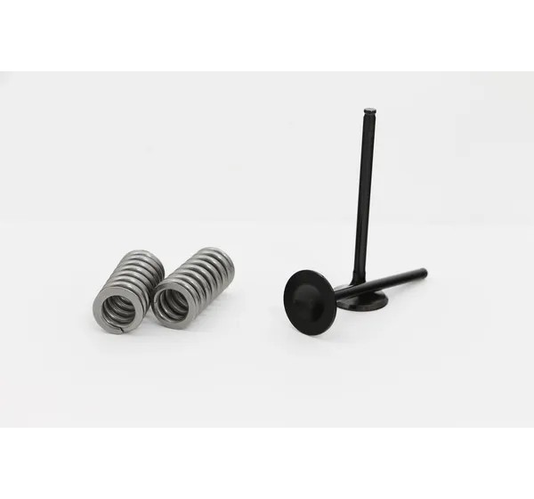 WOSSNER Ventilsteuerung - VALVE KIT EXH HONDA CRF250R 08