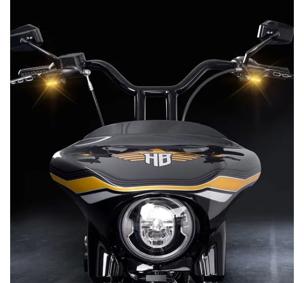 HEINZ BIKES Blinker Bild 4