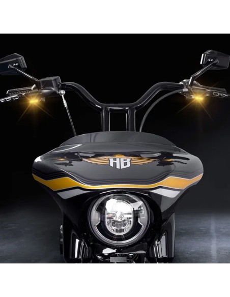 HEINZ BIKES Blinker Bild 4