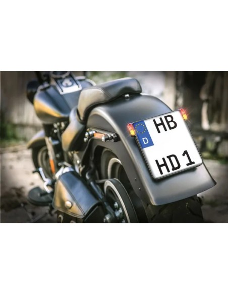 HEINZ BIKES Kennzeichen Bild 4