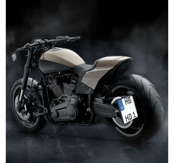 HEINZ BIKES Kennzeichen Bild 4