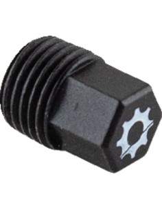 Motor-Ablassschraube