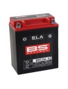 SLA Factory-Activated AGM Wartungsfreie Batterien