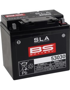 SLA Factory-Activated AGM Wartungsfreie Batterie