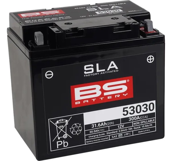 BS BATTERY Batterien für BMW R 100 RT 1978-1996