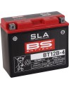 SLA Factory-Activated AGM Wartungsfreie Batterie