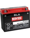 SLA Factory-Activated AGM Wartungsfreie Batterie