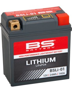Lithium LiFePO4 Batterie