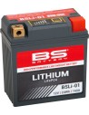 Lithium LiFePO4 Batterie