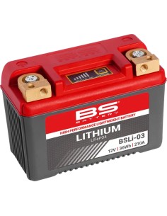 Lithium LiFePO4 Batterie