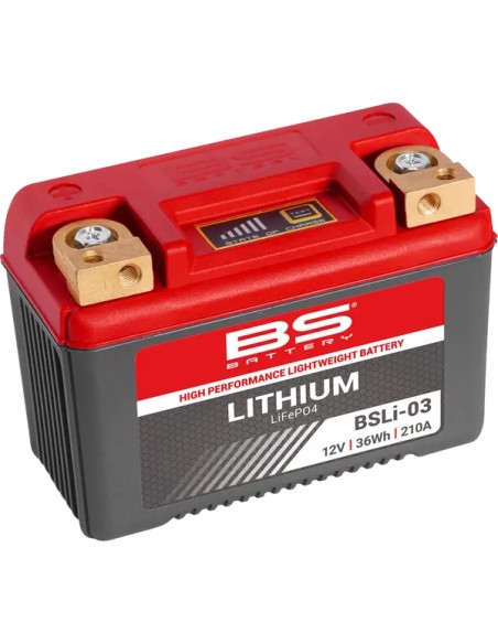 BS BATTERY Batterien für HONDA TRX 250 X 1987-2025