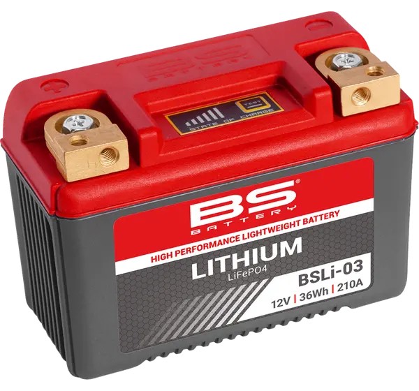 BS BATTERY Batterien für HONDA TRX 250 X 1987-2025