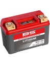 Lithium LiFePO4 Batterie