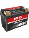 Lithium LiFePO4 Batterie