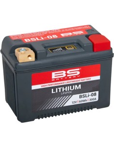 Lithium LiFePO4 Batterie