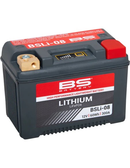 BS BATTERY Batterien für Harley Davidson XL 1200 C 2004-2020