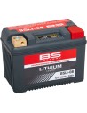 Lithium LiFePO4 Batterie