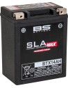 SLA MAX werksseitig aktivierte, wartungsfreie AGM Batterie