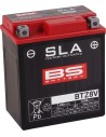 SLA Factory-Activated AGM Wartungsfreie Batterie
