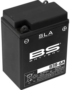 SLA Factory-Activated AGM Wartungsfreie Batterien