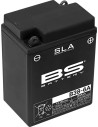 SLA Factory-Activated AGM Wartungsfreie Batterien