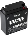 SLA Factory-Activated AGM Wartungsfreie Batterien