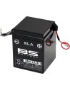 SLA Factory-Activated AGM Wartungsfreie Batterien