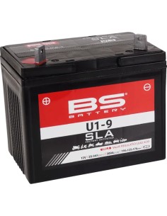 SLA Factory-Activated AGM Wartungsfreie Batterie