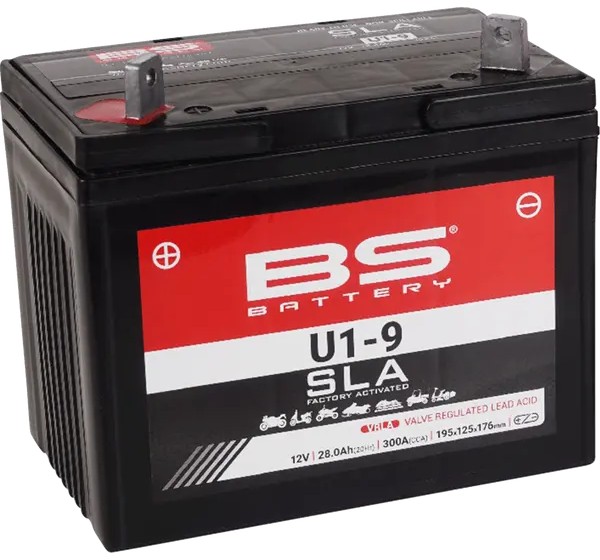 BS BATTERY Batterien für YAMAHA YXF 850 2018-2022