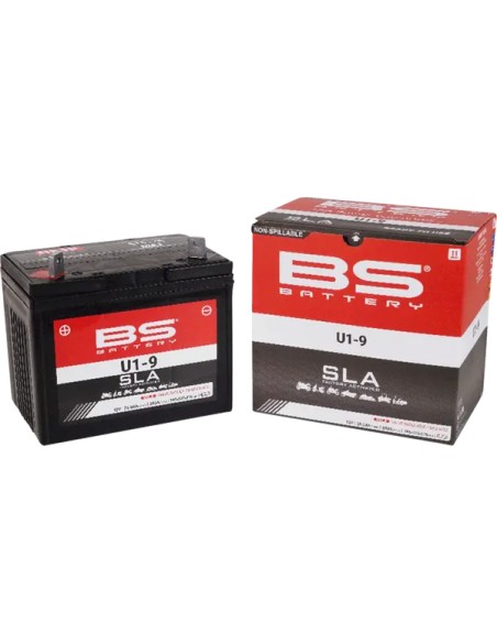 BS BATTERY Batterien - Detailansicht