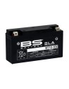 SLA Factory-Activated AGM Wartungsfreie Batterien
