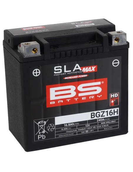 BS BATTERY Batterien für BMW R 1200 GS ABS 2004-2019