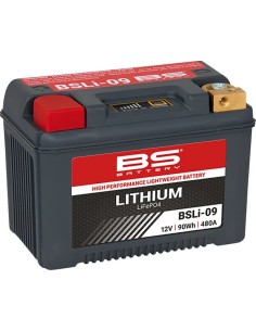 Lithium LiFePO4 Batterie