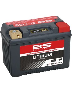 Lithium LiFePO4 Batterie