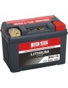 Lithium LiFePO4 Batterie