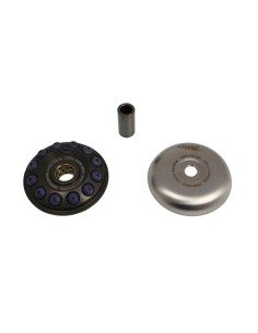 Variator Pro
