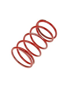 Contra Feder Sport V.2