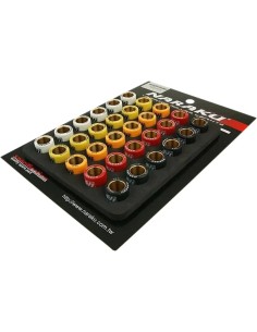 Variator-Gewichteset