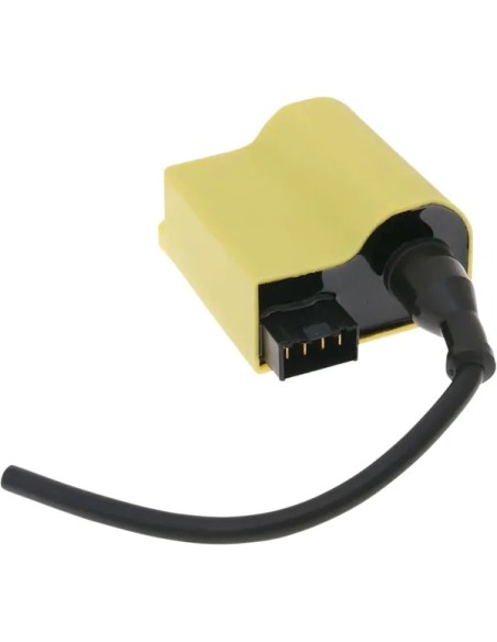 101 OCTANE Zündkerzen für SUZUKI AY 50 AC 1997-2004