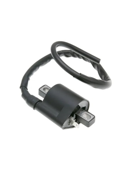 101 OCTANE Anlasser & Zündung - IGNITION COIL